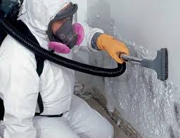 Best HVAC Mold Inspection and Cleaning  in Pleasanton, TX